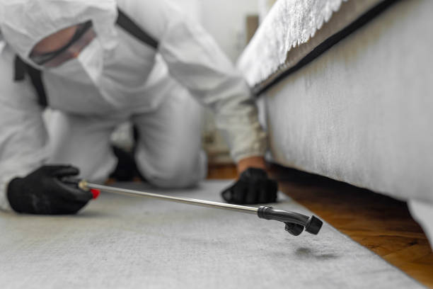 Professional Bed Bug Control technician working in Hammond, IN